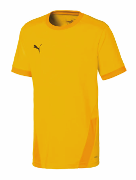 (Bild für) PUMA Kinder Trikot TeamGOAL